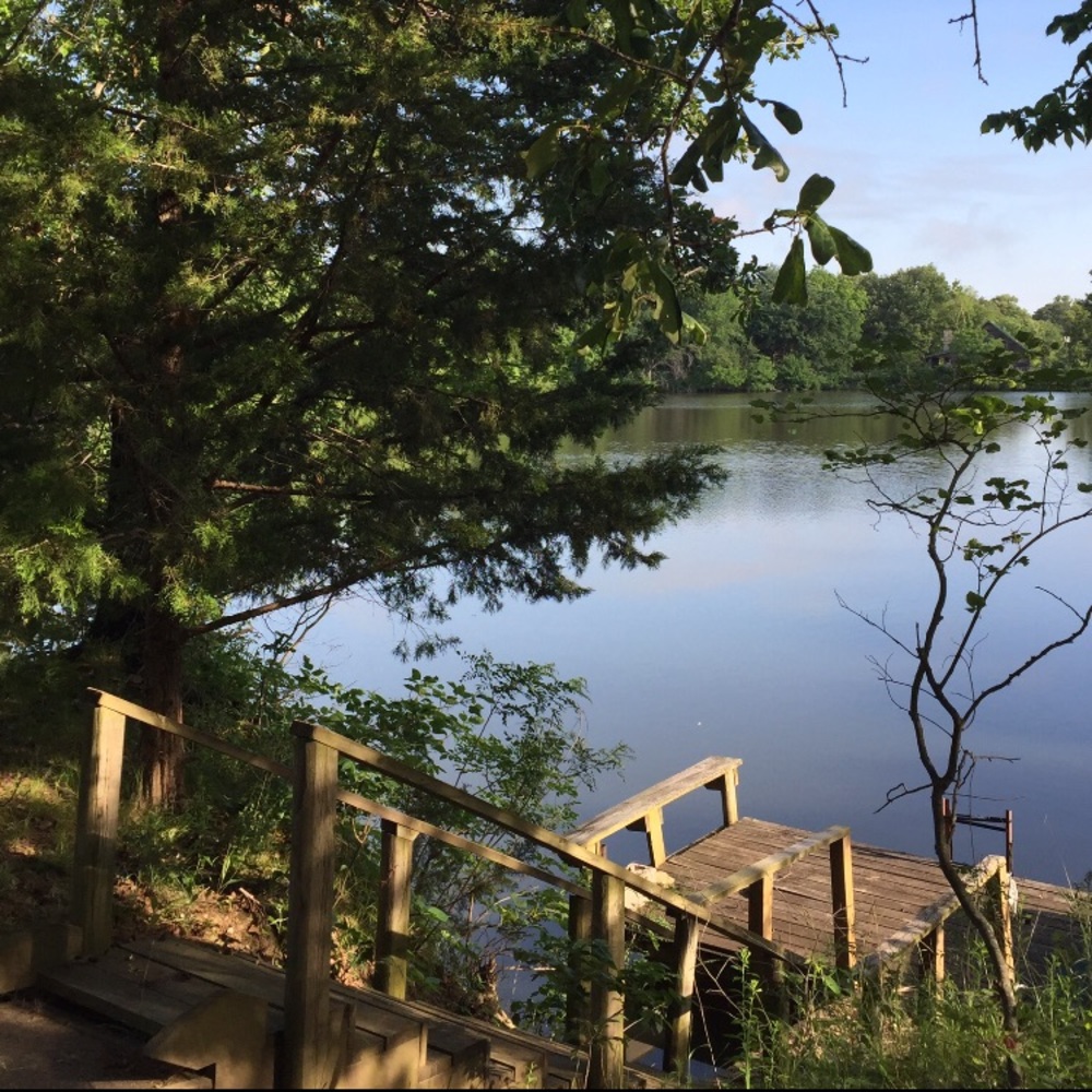 Meet your Posher, Cindy